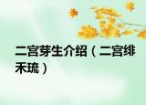 二宮芽生介紹（二宮緋禾琉）