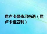 詹盧卡曼奇尼傷退（詹盧卡維亞利）