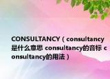 CONSULTANCY（consultancy是什么意思 consultancy的音標(biāo) consultancy的用法）