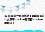 cuckoo是什么意思?。╟uckoo是什么意思 cuckoo的音標(biāo) cuckoo的用法）