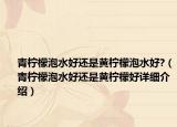 青檸檬泡水好還是黃檸檬泡水好?（青檸檬泡水好還是黃檸檬好詳細(xì)介紹）