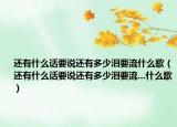 還有什么話要說還有多少淚要流什么歌（還有什么話要說還有多少淚要流...什么歌）