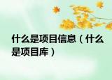 什么是項目信息（什么是項目庫）