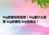 big的音標(biāo)和意思（big是什么意思 big的音標(biāo) big的用法）