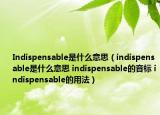 Indispensable是什么意思（indispensable是什么意思 indispensable的音標(biāo) indispensable的用法）