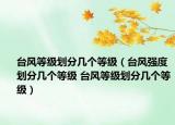 臺(tái)風(fēng)等級(jí)劃分幾個(gè)等級(jí)（臺(tái)風(fēng)強(qiáng)度劃分幾個(gè)等級(jí) 臺(tái)風(fēng)等級(jí)劃分幾個(gè)等級(jí)）