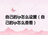 自己的ip怎么設(shè)置（自己的ip怎么查看）