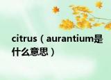 citrus（aurantium是什么意思）