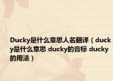 Ducky是什么意思人名翻譯（ducky是什么意思 ducky的音標(biāo) ducky的用法）