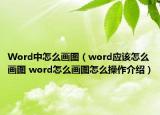 Word中怎么畫圖（word應該怎么畫圖 word怎么畫圖怎么操作介紹）