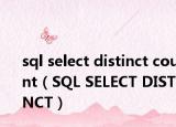 sql select distinct count（SQL SELECT DISTINCT）