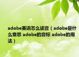 adobe英語怎么讀音（adobe是什么意思 adobe的音標 adobe的用法）