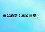 三公消費(fèi)（三公消費(fèi)）