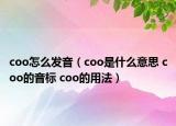 coo怎么發(fā)音（coo是什么意思 coo的音標 coo的用法）