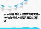 word應(yīng)如何插入任何頁面的頁碼word應(yīng)如何插入任何頁面的首頁頁碼