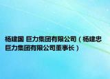 楊建國 巨力集團有限公司（楊建忠 巨力集團有限公司董事長）