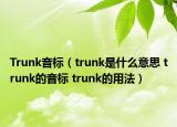 Trunk音標(biāo)（trunk是什么意思 trunk的音標(biāo) trunk的用法）