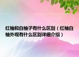 紅柚和白柚子有什么區(qū)別（紅柚白柚外觀有什么區(qū)別詳細(xì)介紹）