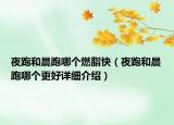 夜跑和晨跑哪個燃脂快（夜跑和晨跑哪個更好詳細介紹）