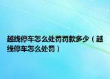 越線停車怎么處罰罰款多少（越線停車怎么處罰）