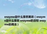enzyme是什么意思英語（enzyme是什么意思 enzyme的音標(biāo) enzyme的用法）