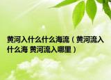黃河入什么什么海流（黃河流入什么海 黃河流入哪里）