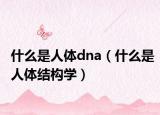 什么是人體dna（什么是人體結(jié)構(gòu)學(xué)）