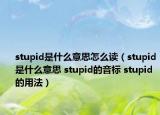 stupid是什么意思怎么讀（stupid是什么意思 stupid的音標 stupid的用法）