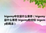 bigamy中文是什么意思（bigamy是什么意思 bigamy的音標(biāo) bigamy的用法）