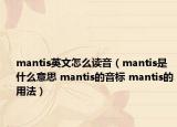 mantis英文怎么讀音（mantis是什么意思 mantis的音標(biāo) mantis的用法）