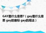 GAY是什么意思?（gay是什么意思 gay的音標(biāo) gay的用法）