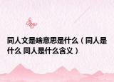 同人文是啥意思是什么（同人是什么 同人是什么含義）