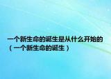 一個(gè)新生命的誕生是從什么開始的（一個(gè)新生命的誕生）