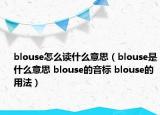 blouse怎么讀什么意思（blouse是什么意思 blouse的音標(biāo) blouse的用法）