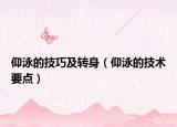 仰泳的技巧及轉(zhuǎn)身（仰泳的技術(shù)要點(diǎn)）
