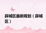 薛城區(qū)最新規(guī)劃（薛城區(qū)）