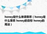 honey是什么單詞意思（honey是什么意思 honey的音標(biāo) honey的用法）