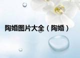 陶婚圖片大全（陶婚）