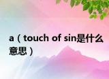 a（touch of sin是什么意思）