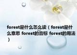 forest是什么怎么讀（forest是什么意思 forest的音標(biāo) forest的用法）