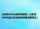 火影里木葉丸的爸爸是誰（火影里木葉丸的父親是誰啊好像沒看到過）