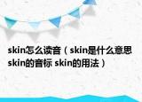 skin怎么讀音（skin是什么意思 skin的音標(biāo) skin的用法）