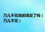 乃兒不花真的謀反了嗎（乃兒不花）