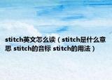 stitch英文怎么讀（stitch是什么意思 stitch的音標(biāo) stitch的用法）