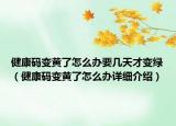 健康碼變黃了怎么辦要幾天才變綠（健康碼變黃了怎么辦詳細(xì)介紹）