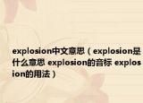explosion中文意思（explosion是什么意思 explosion的音標 explosion的用法）