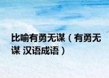 比喻有勇無謀（有勇無謀 漢語成語）