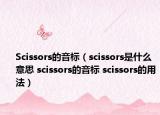 Scissors的音標（scissors是什么意思 scissors的音標 scissors的用法）
