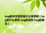 beg的中文意思是什么意思啊（beg是什么意思 beg的音標 beg的用法）
