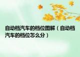 自動檔汽車的檔位圖解（自動檔汽車的檔位怎么分）